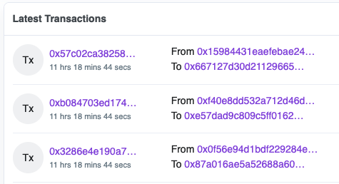 screenshot of the polygon blockchain transactions on polygonscan.com